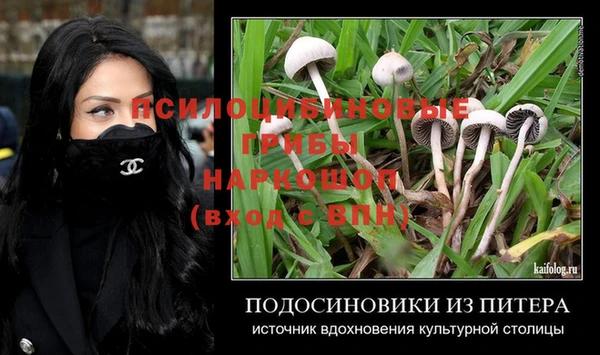 Альфа ПВП Вязники