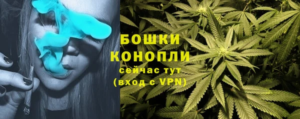 Альфа ПВП Вязники