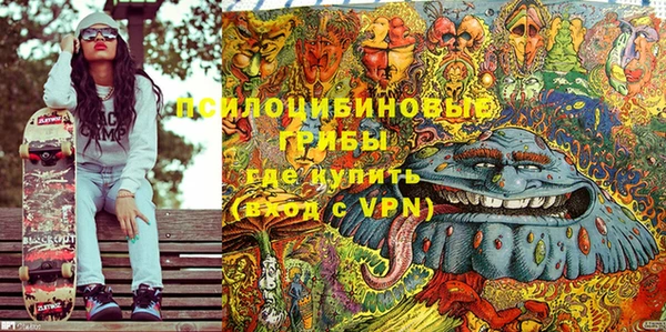 дживик Вяземский