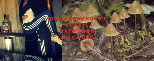 дживик Вяземский
