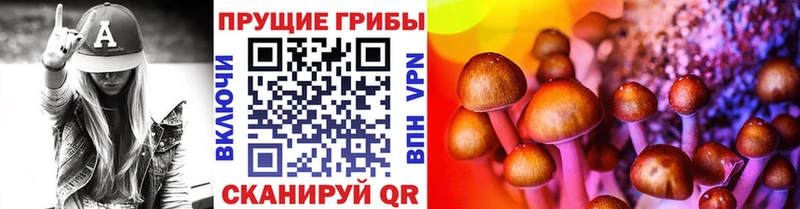 где купить   Ильский  MEGA как зайти  Псилоцибиновые грибы Psilocybine cubensis 